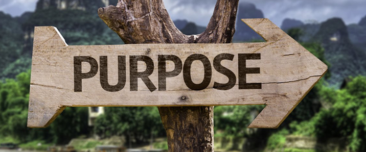 Purpose Direction 
