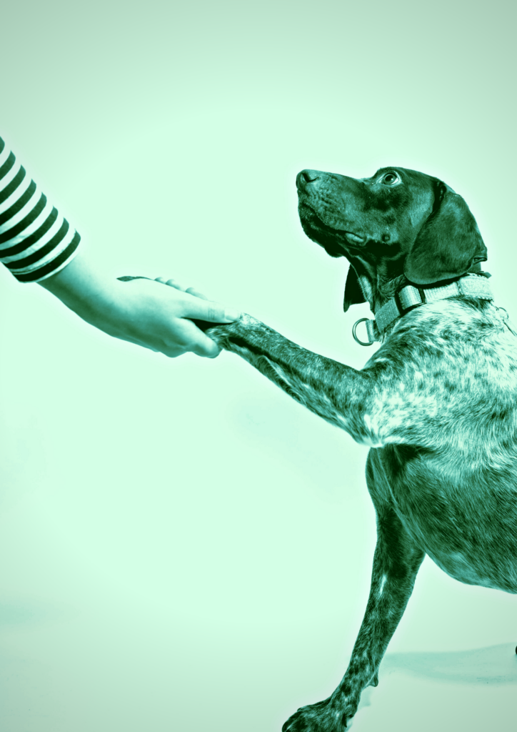 loyalty and trust